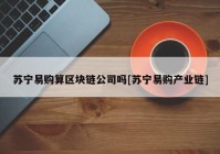 苏宁易购算区块链公司吗[苏宁易购产业链]